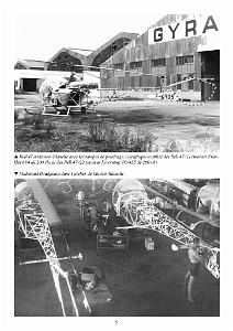 611 GYRAFRIQUE_000009